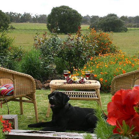 Silversprings Spa Retreat Pet Friendly Cottages And Glampings Metricup Extérieur photo