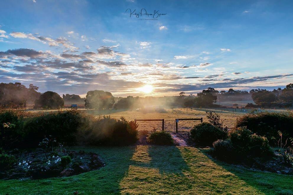 Silversprings Spa Retreat Pet Friendly Cottages And Glampings Metricup Extérieur photo