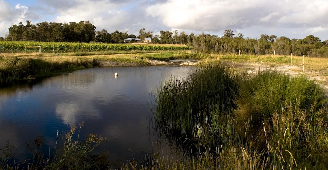 Silversprings Spa Retreat Pet Friendly Cottages And Glampings Metricup Extérieur photo